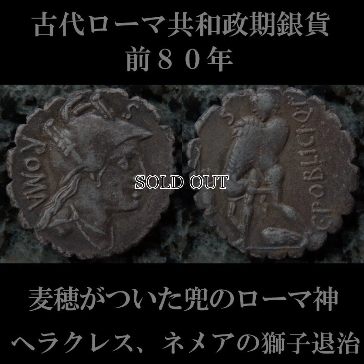 画像1: 古代ローマコイン　共和政期　ガイウス・ポブリキウス　前８０年　デナリウス銀貨　麦穂がついた兜のローマ神　ヘラクレスのネメアーの獅子退治 (1)