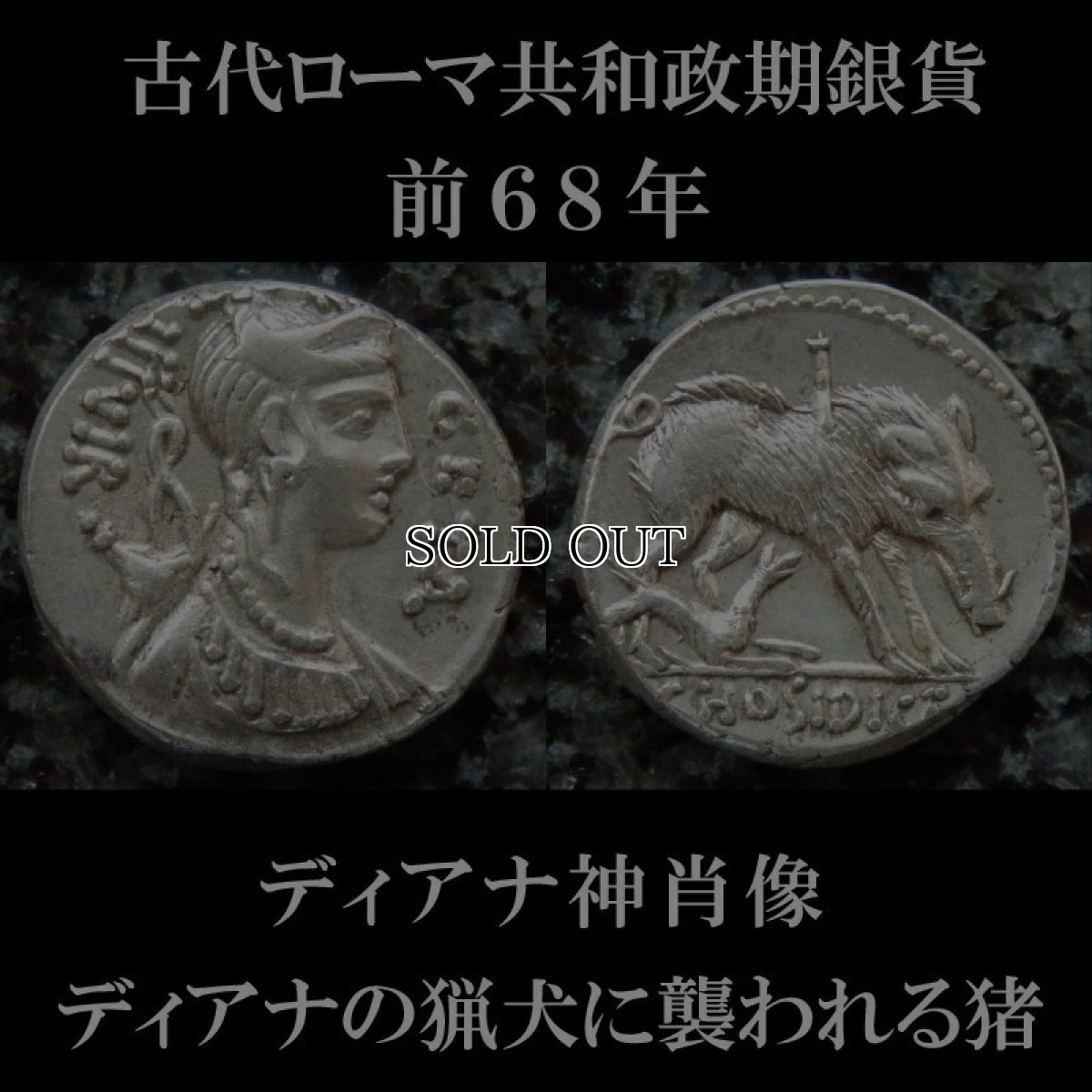 ローマコイン　共和政期　前68年　ホシディウス・ゲタ　デナリウス銀貨　ディアナ神肖像　ディアナの猟犬に襲われるイノシシ　西洋古代美術