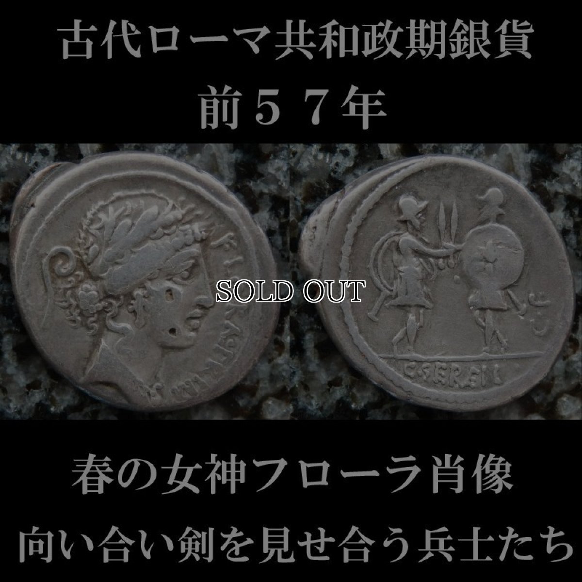ローマコイン　共和政期　前57年　ガイウス・セルウィリウス　デナリウス銀貨　フローラ神(春の女神)の肖像　剣を見せ合う武装した２人　西洋古代美術