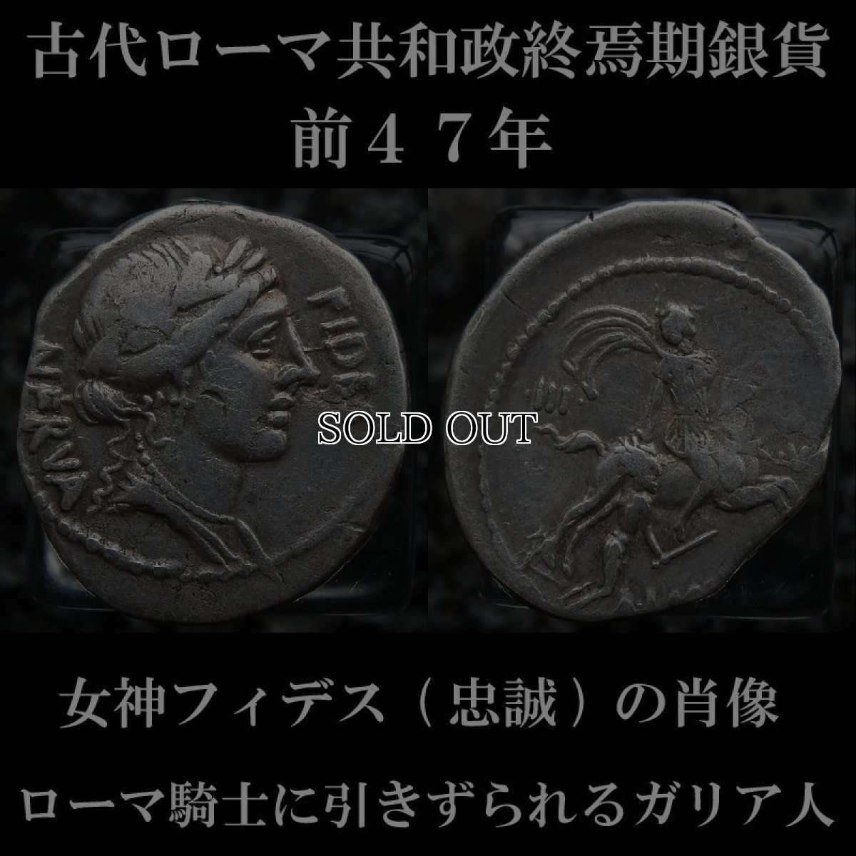 ローマコイン　共和政終焉期　リキニウス・ネルウァ　前４７年　デナリウス銀貨　女神フィデス肖像　ローマ騎士に引きずられるガリア人　カエサルのガリア征服を称える意匠のコイン　西洋古代美術