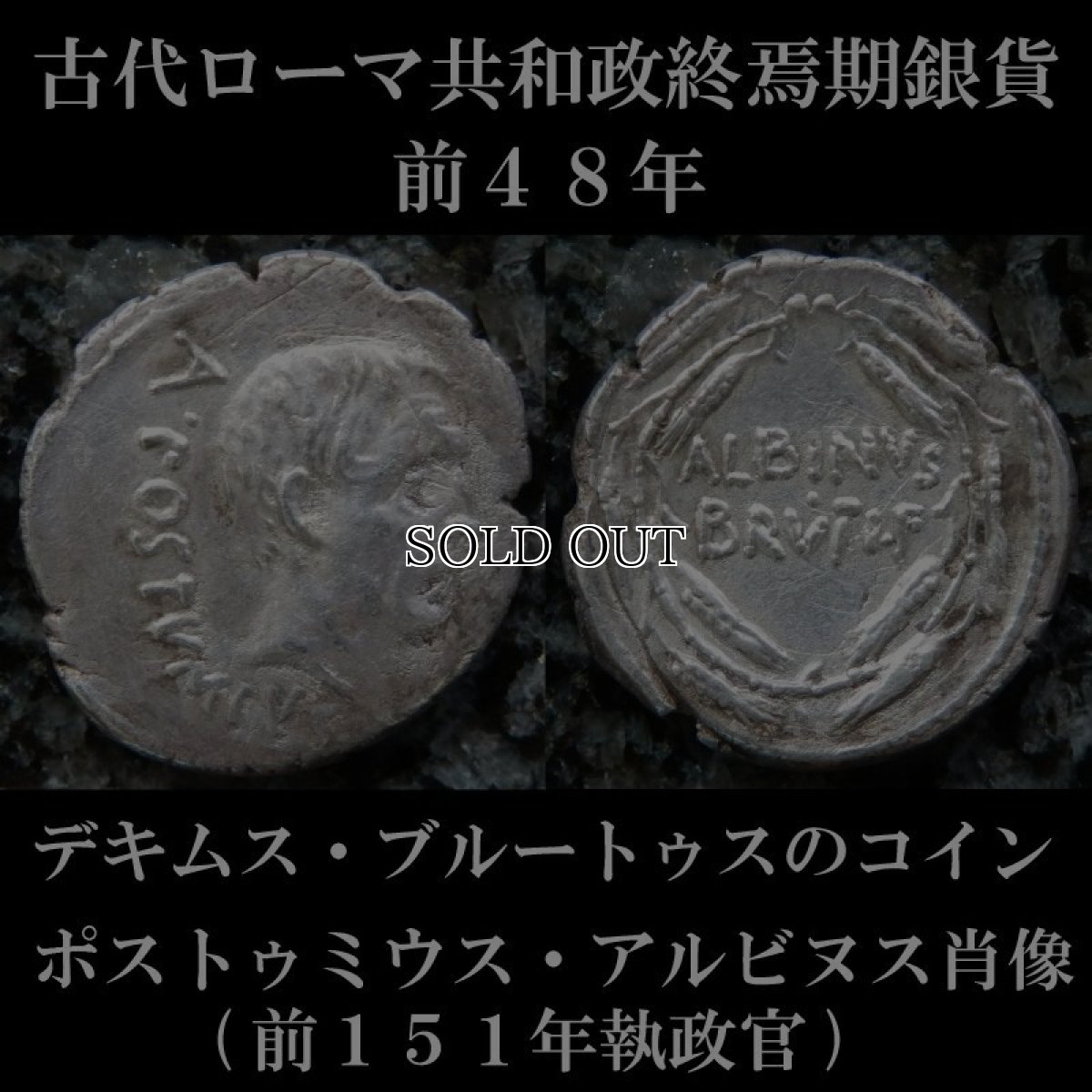 ローマコイン　共和政終焉期　前48年　ブルートゥス・アルビヌス　デナリウス銀貨　アウルス・ポストゥミウス肖像(前１５１年執政官)　麦穂のリース　後にカエサル暗殺者の１人となるデキムス・ブルートゥスのコイン　西洋古代美術