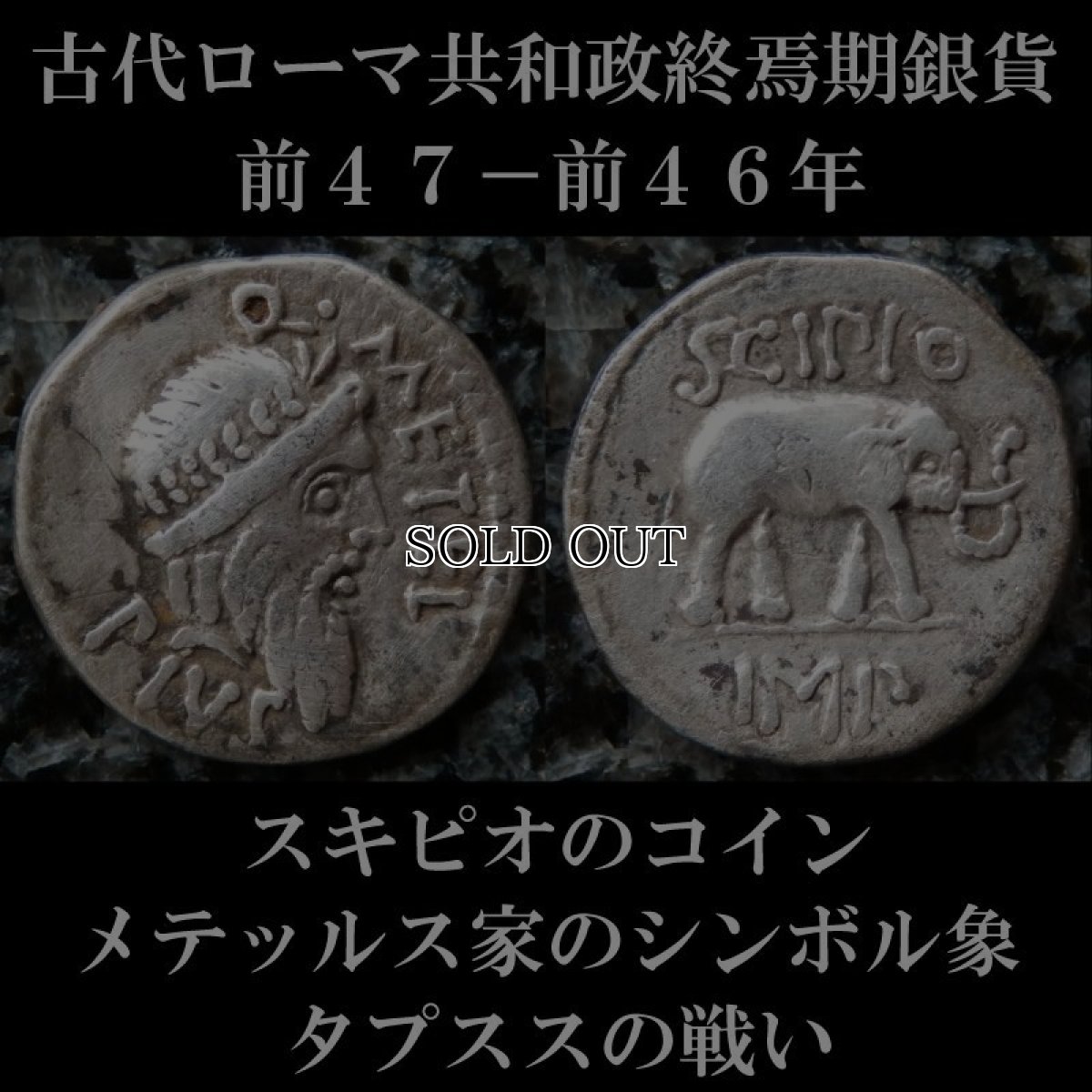 ローマコイン　共和政終焉期　スキピオ　前４７－前４６年　デナリウス銀貨　ユピテル神肖像　象　タプススの戦いのコイン　西洋古代美術