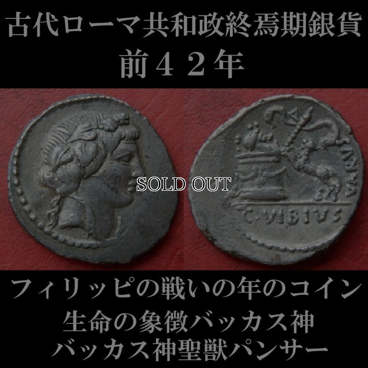 ローマコイン　共和政終焉期　ガイウス・ウィビウス・ウァルス　前４２年　デナリウス銀貨　リベル神(バッカス)肖像　バッカス神聖獣パンサー　フィリッピの戦いの年にローマで発行されたコイン　西洋古代美術