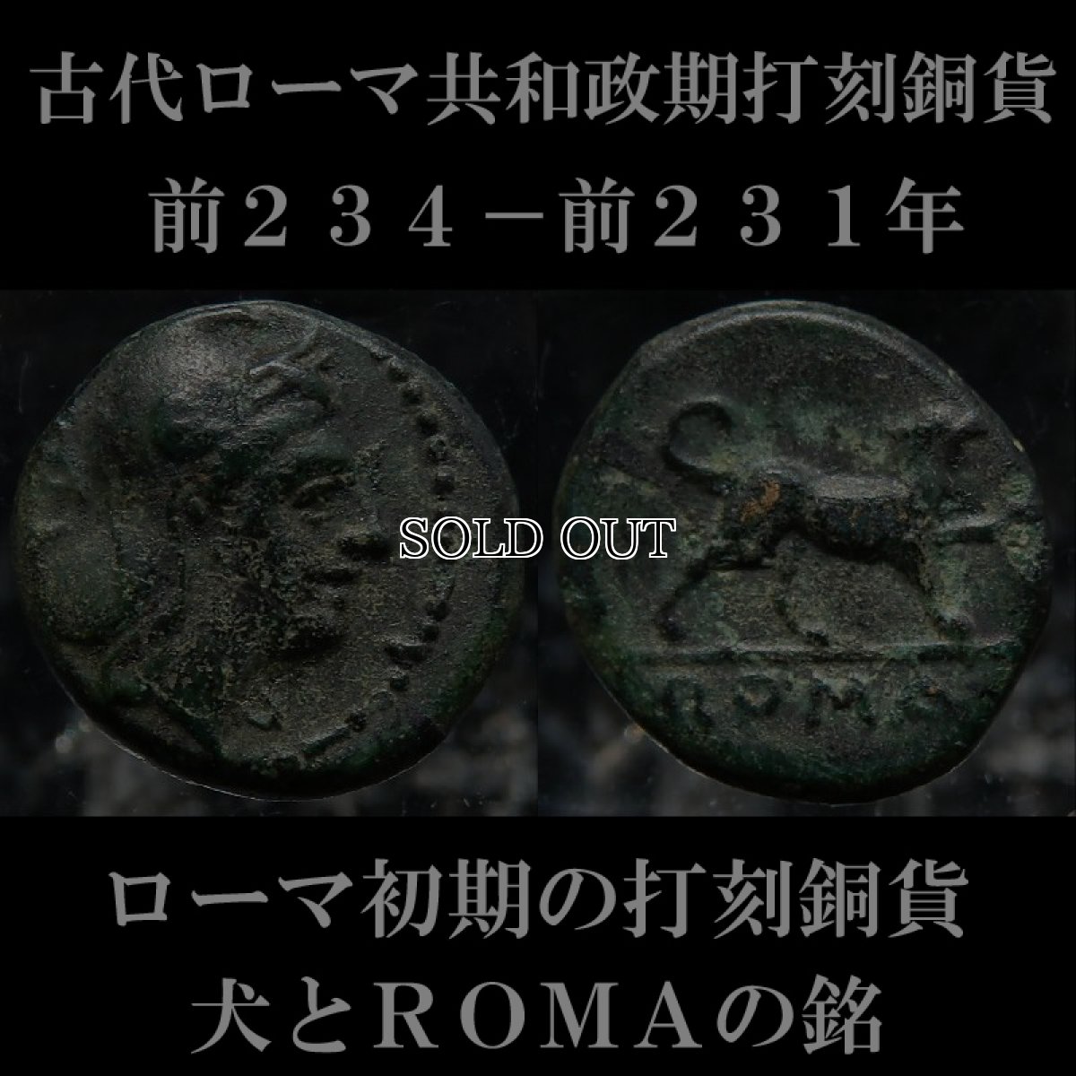 ローマコイン　共和政期　前２３４－前２３１年　銅貨　ローマ神肖像　犬とＲＯＭＡの銘　ローマ人初期の打刻銅貨　西洋古代美術