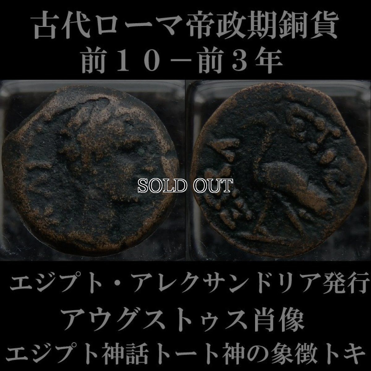 ローマコイン　帝政期　アウグストゥス　エジプト・アレクサンドリア発行　前１０－前３年　２０ドラクマ銅貨　アウグストゥス肖像　トキ(エジプト神話トート神象徴)　エジプトのアウグストゥスのコイン　西洋古代美術