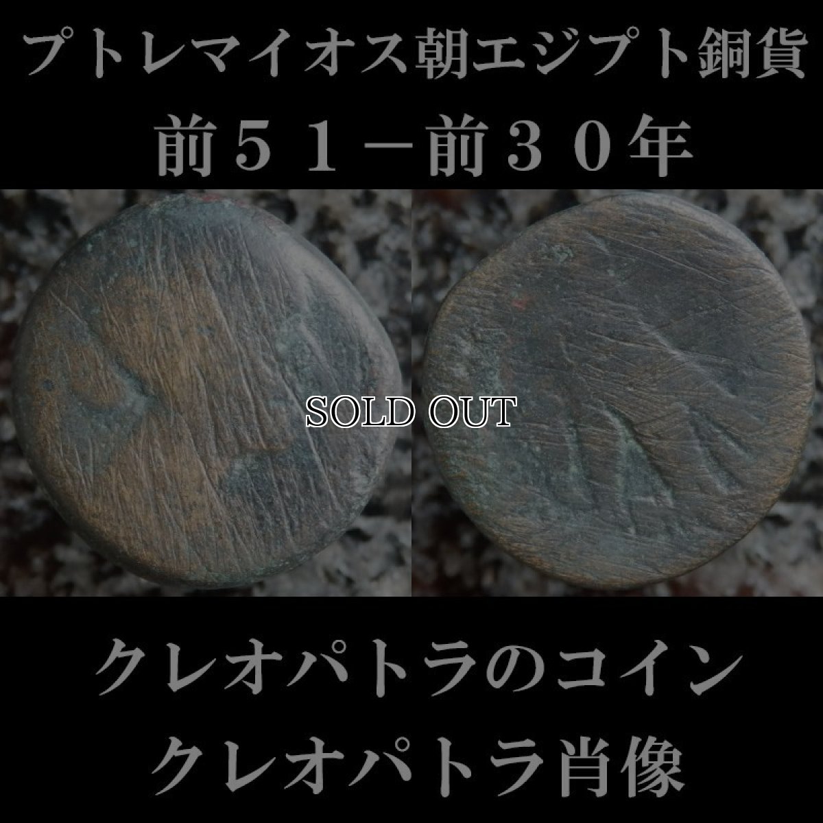 画像2: 古代ギリシャコイン(額装付き)　プトレマイオス朝エジプト　クレオパトラ７世　８０ドラクマ銅貨　前５１－前３０年　クレオパトラ肖像　鷲　クレオパトラのコイン　 (2)