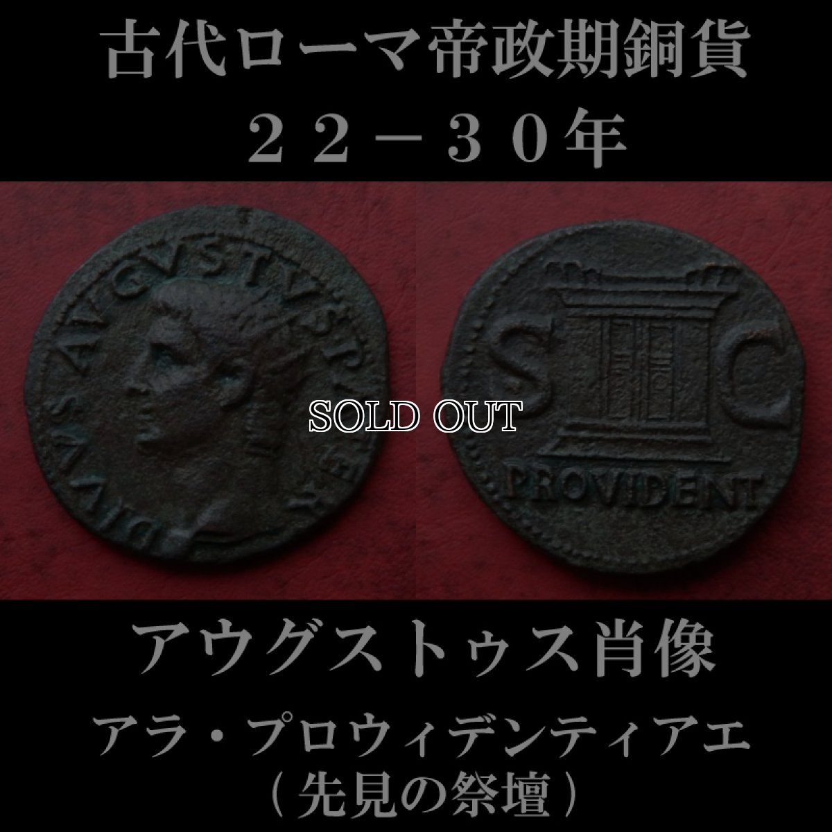 ローマコイン　帝政期　ティベリウス　アス銅貨　２２-３０年　アウグストゥス肖像　アラ・プロウィデンティアエ(先見の祭壇)　西洋古代美術