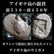 古代ギリシャコイン　アイギナ島　スタテル銀貨　前５１０－前４５０年　ギリシャで最初にコイン発行を始めたアイギナ島のウミガメのコイン　西洋古代美術