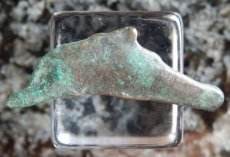 画像3: 古代ギリシャコイン　オルビア　イルカのコイン 前５－前４世紀 (3)