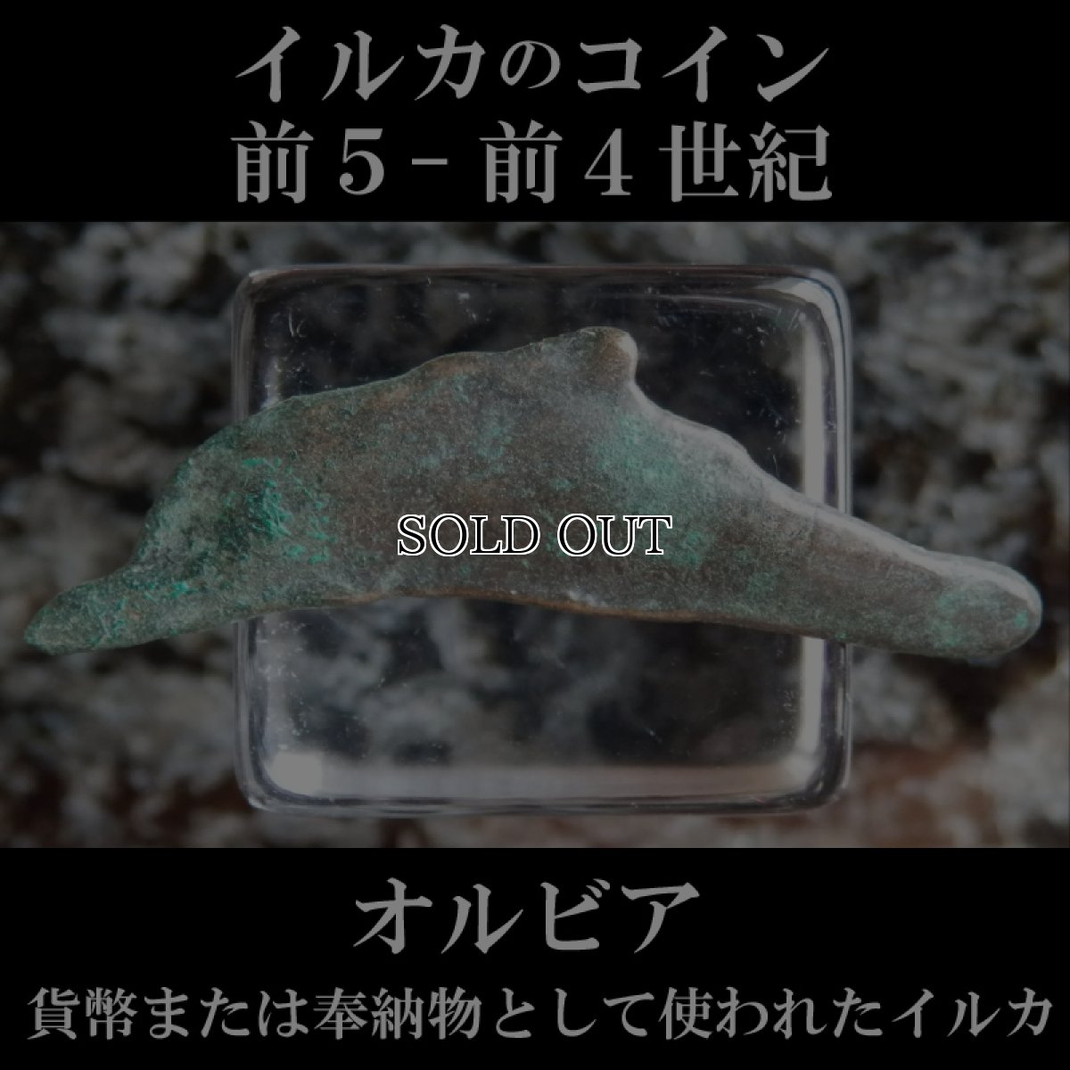 画像1: 古代ギリシャコイン　オルビア　イルカのコイン 前５－前４世紀 (1)