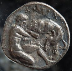 画像3: 古代ギリシャコイン　カラブリア地方タラス　ディオボル銀貨　前３８０－前３２５年　ヘラクレスの１２の難業、ネメアーの獅子退治のコイン (3)