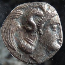 画像2: 古代ギリシャコイン　カラブリア地方タラス　ディオボル銀貨　前３８０－前３２５年　ヘラクレスの１２の難業、ネメアーの獅子退治のコイン (2)