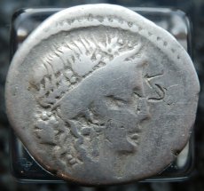 画像2: 古代ローマコイン　共和政終焉期　ユリウス・カエサル　ジュリアス・シーザー　デナリウス銀貨　前４８年　クレメンティア神肖像　ガリア戦勝記念柱　ファルサルスの戦い後のコイン (2)