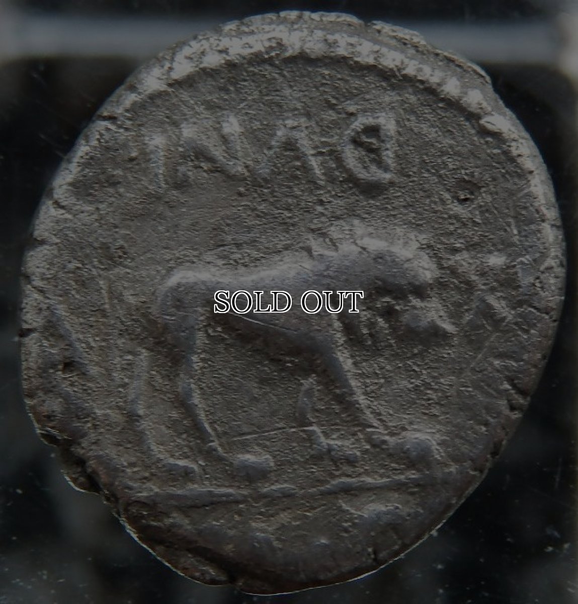 画像3: 古代ローマコイン　共和政終焉期　前４３年　キナリウス銀貨　フルウィア(マルクス・アントニウスの妻)　フルウィア肖像　ライオン(アントニウスのホロスコープ)　ローマコインで初めて女性の肖像が登場したコイン (3)