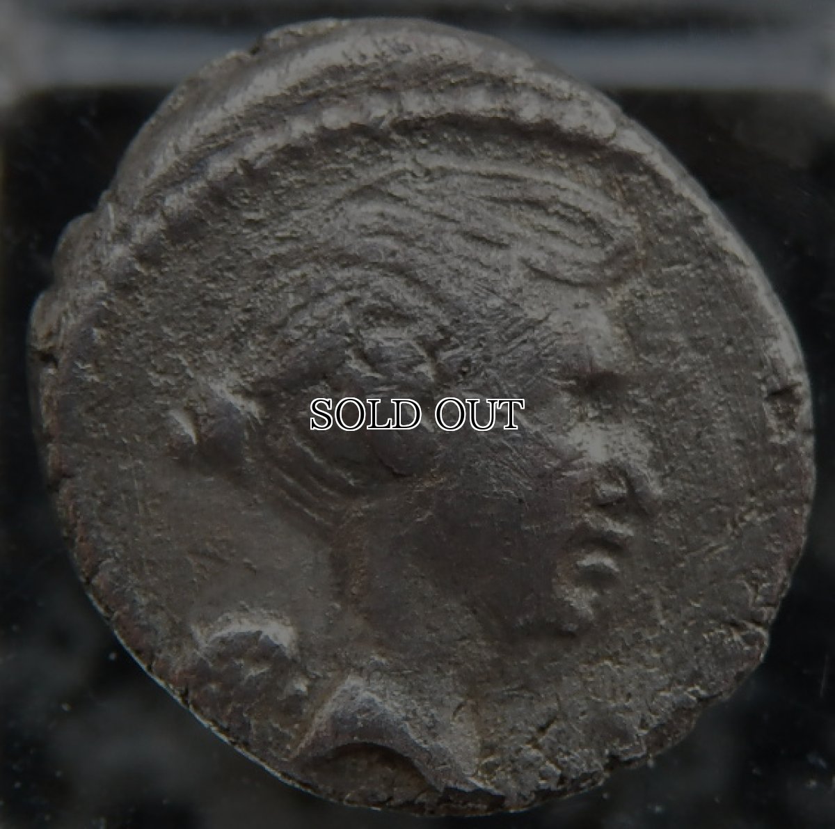 画像2: 古代ローマコイン　共和政終焉期　前４３年　キナリウス銀貨　フルウィア(マルクス・アントニウスの妻)　フルウィア肖像　ライオン(アントニウスのホロスコープ)　ローマコインで初めて女性の肖像が登場したコイン (2)