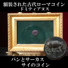 画像1: 古代ローマコイン　(額装付き)　帝政期　ドミティアヌス　クアドランス銅貨　83年以降　「パンとサーカス」を象徴するサイのコイン (1)