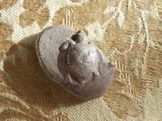 画像2: 古代ギリシャコイン　アイギナ島　スタテル銀貨　前５１０－前４５０年　ギリシャで最初にコイン発行を始めたアイギナ島のウミガメのコイン (2)