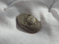 画像6: 古代ギリシャコイン　アイギナ島　スタテル銀貨　前５１０－前４５０年　ギリシャで最初にコイン発行を始めたアイギナ島のウミガメのコイン (6)