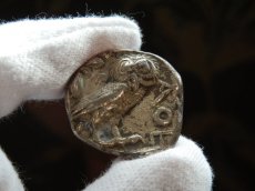 画像8: 古代ギリシャコイン　アッティカ地方　アテネ　テトラドラクマ銀貨　前450年頃発行　古代コインで最も有名な意匠　アテナ神と聖鳥フクロウのコイン (8)