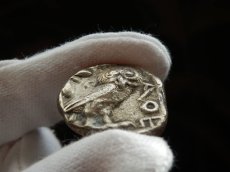 画像10: 古代ギリシャコイン　アッティカ地方　アテネ　テトラドラクマ銀貨　前450年頃発行　古代コインで最も有名な意匠　アテナ神と聖鳥フクロウのコイン (10)