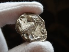 画像9: 古代ギリシャコイン　アッティカ地方　アテネ　テトラドラクマ銀貨　前450年頃発行　古代コインで最も有名な意匠　アテナ神と聖鳥フクロウのコイン (9)