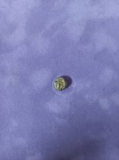 画像2: 古代ギリシャコイン　ミュシア地方　キュジコス　前５３０－前４５０年　ヘクテ金貨　キュジコスのシンボル、マグロを持つ青年 (2)