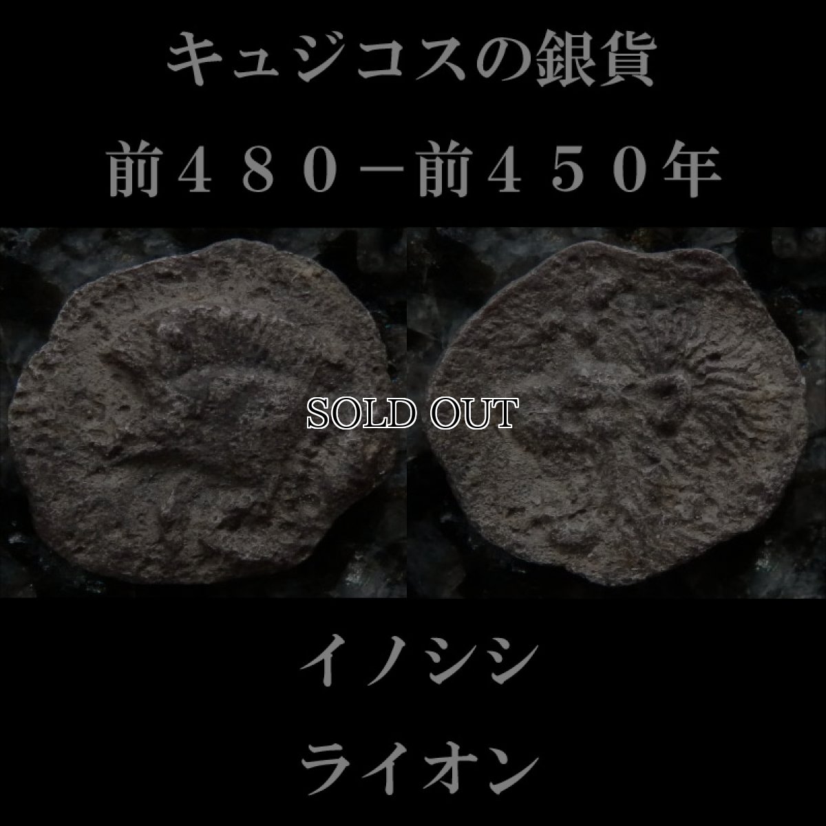 画像2: 古代ギリシャコイン(額装付き)　ミュシア地方　キュジコス　前４８０－前４５０年　オボル銀貨　イノシシとライオン (2)
