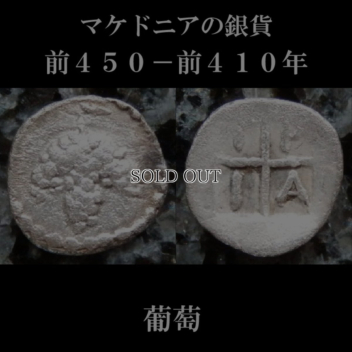 画像2: 古代ギリシャコイン(額装付き)　マケドニア　トラジロス　銀貨　前４５０－前４１０年　ブドウの房 (2)