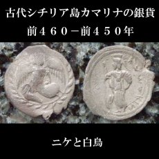 画像1: 古代ギリシャコイン　シチリア島　カマリナ　リトラ銀貨　前４６０－前４５０年　勝利の女神ニケと白鳥 (1)