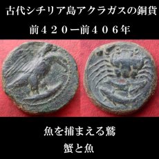 画像1: 古代ギリシャコイン　シチリア島・アクラガス　銅貨　前４２０－前４０６年　シチリア島の海の幸、カニのコイン (1)