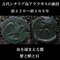 画像1: 古代ギリシャコイン　シチリア島アクラガス　銅貨　前４２０－前４０６年　魚を捕えるワシ　カニとタコと貝 (1)