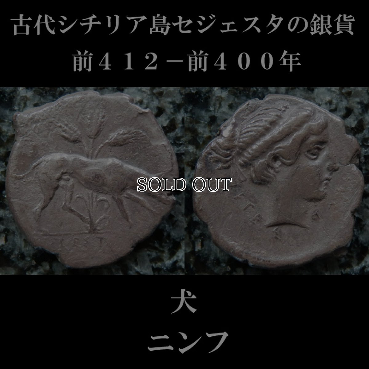 画像6: 古代ギリシャコイン(額装付き)　シチリア島　セジェスタ　ディドラクマ銀貨　前４１２－前４００年　頭を下げる犬　可憐なセジェスタのニンフ (6)
