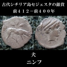 画像6: 古代ギリシャコイン(額装付き)　シチリア島　セジェスタ　ディドラクマ銀貨　前４１２－前４００年　頭を下げる犬　可憐なセジェスタのニンフ (6)