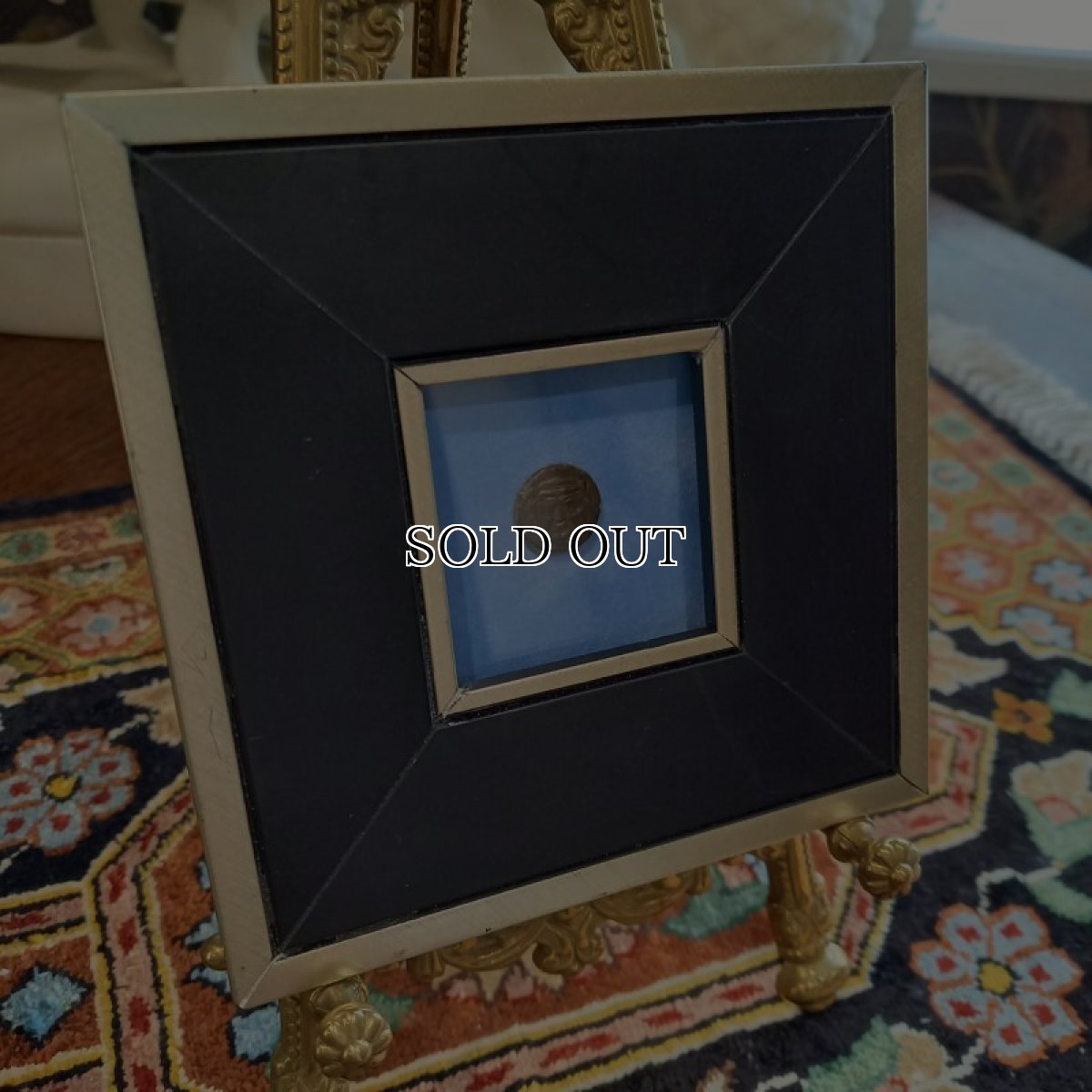 画像4: 古代ギリシャコイン(額装付き)　シチリア島　カマリナ　銅貨　前４１３－前４０５年　ゴルゴン　トカゲを捕まえるフクロウ (4)