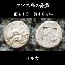 画像5: 古代ギリシャコイン(額装付き)　トラキア地域　タソス島　オボル銀貨　前４１２ー前４０４年　重なるイルカ (5)
