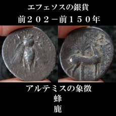 画像1: 古代ギリシャコイン　イオニア地方エフェソス　ドラクマ銀貨　前２０２－前１５０年　エフェソスのアルテミス信仰を象徴する蜂の銀貨 (1)