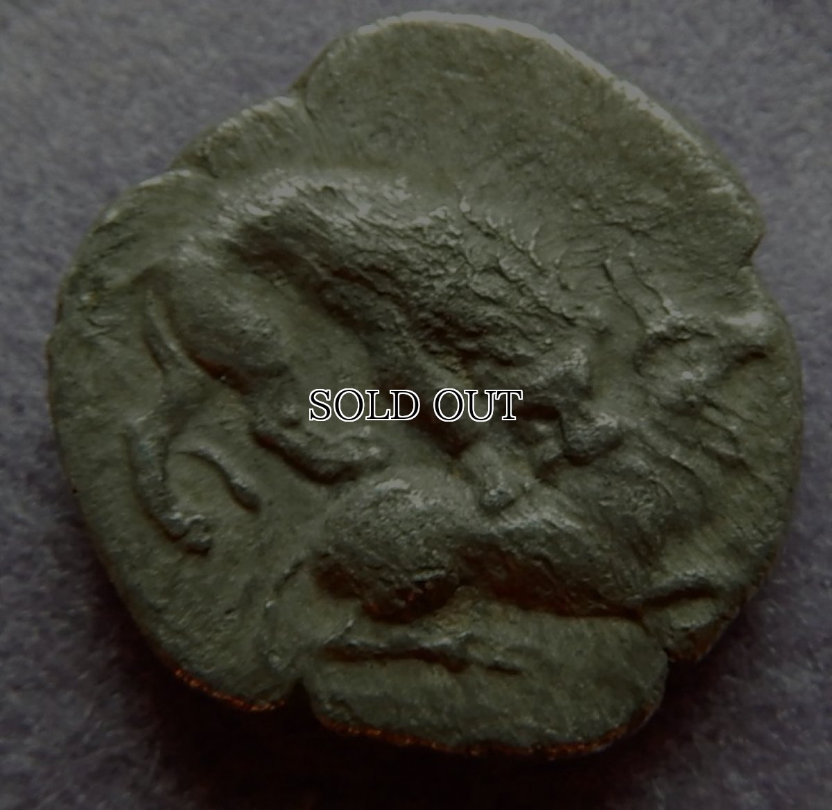 画像7: 古代ギリシャコイン(額装付き)　キリキア　タルソス　オボル銀貨　前３６１－前３３４年　牛を襲うライオン (7)