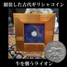 画像1: 古代ギリシャコイン(額装付き)　キリキア地方タルソス　スタテル銀貨　前３６１－前３３４年　バール神(農耕の神)の座像　牛を襲うライオン (1)