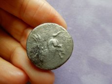 画像12: 古代ギリシャコイン(額装付き)　コリントス　スタテル銀貨　前３５０－前３０６年　コリントスの象徴ペガサス　コリントス式兜のアテナ神 (12)