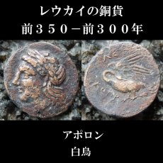画像5: 古代ギリシャコイン(額装付き)　イオニア地方　レウカイ　銅貨　前３５０－前３００年　アポロンと白鳥 (5)