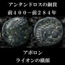 画像1: 古代ギリシャコイン　トローアス　アンタンドロス　銅貨　前４００－前２８４年　アポロン　舌を出すライオン (1)