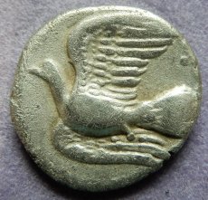 画像8: 古代ギリシャコイン(額装付き)　シキオン　半ドラクマ銀貨　前３３０－前３００年　幻獣キマイラ　ハト (8)