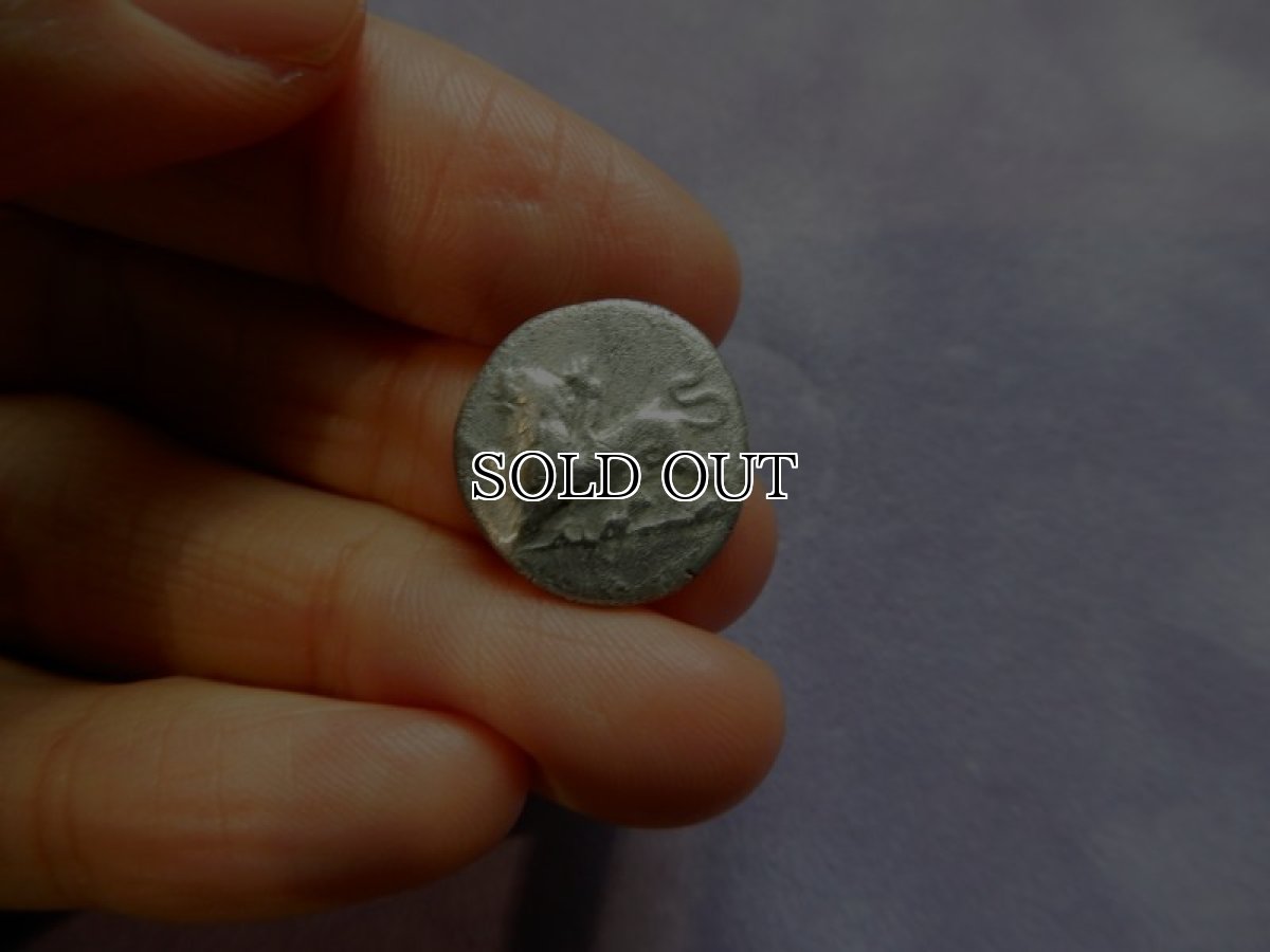 画像10: 古代ギリシャコイン(額装付き)　シキオン　半ドラクマ銀貨　前３３０－前３００年　幻獣キマイラ　ハト (10)