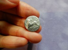 画像10: 古代ギリシャコイン(額装付き)　シキオン　半ドラクマ銀貨　前３３０－前３００年　幻獣キマイラ　ハト (10)