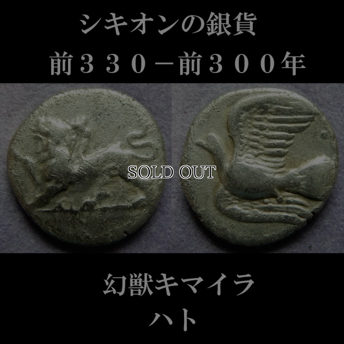 画像6: 古代ギリシャコイン(額装付き)　シキオン　半ドラクマ銀貨　前３３０－前３００年　幻獣キマイラ　ハト (6)