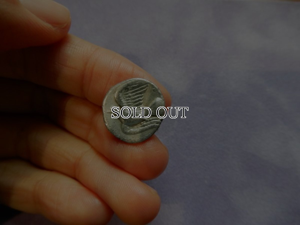 画像9: 古代ギリシャコイン(額装付き)　シキオン　半ドラクマ銀貨　前３３０－前３００年　幻獣キマイラ　ハト (9)