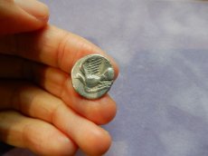 画像9: 古代ギリシャコイン(額装付き)　シキオン　半ドラクマ銀貨　前３３０－前３００年　幻獣キマイラ　ハト (9)