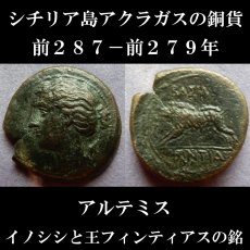 画像1: 古代ギリシャコイン　シチリア島　アクラガス　銅貨　前２８７－前２７９年　アルテミス　イノシシ　フィンティアス王の銘 (1)