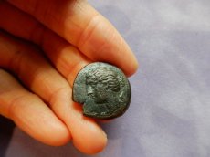 画像4: 古代ギリシャコイン　シチリア島　アクラガス　銅貨　前２８７－前２７９年　アルテミス　イノシシ　フィンティアス王の銘 (4)