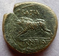 画像3: 古代ギリシャコイン　シチリア島　アクラガス　銅貨　前２８７－前２７９年　アルテミス　イノシシ　フィンティアス王の銘 (3)